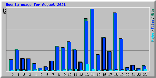 Hourly usage for August 2021
