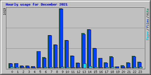 Hourly usage for December 2021