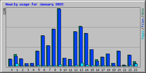 Hourly usage for January 2022